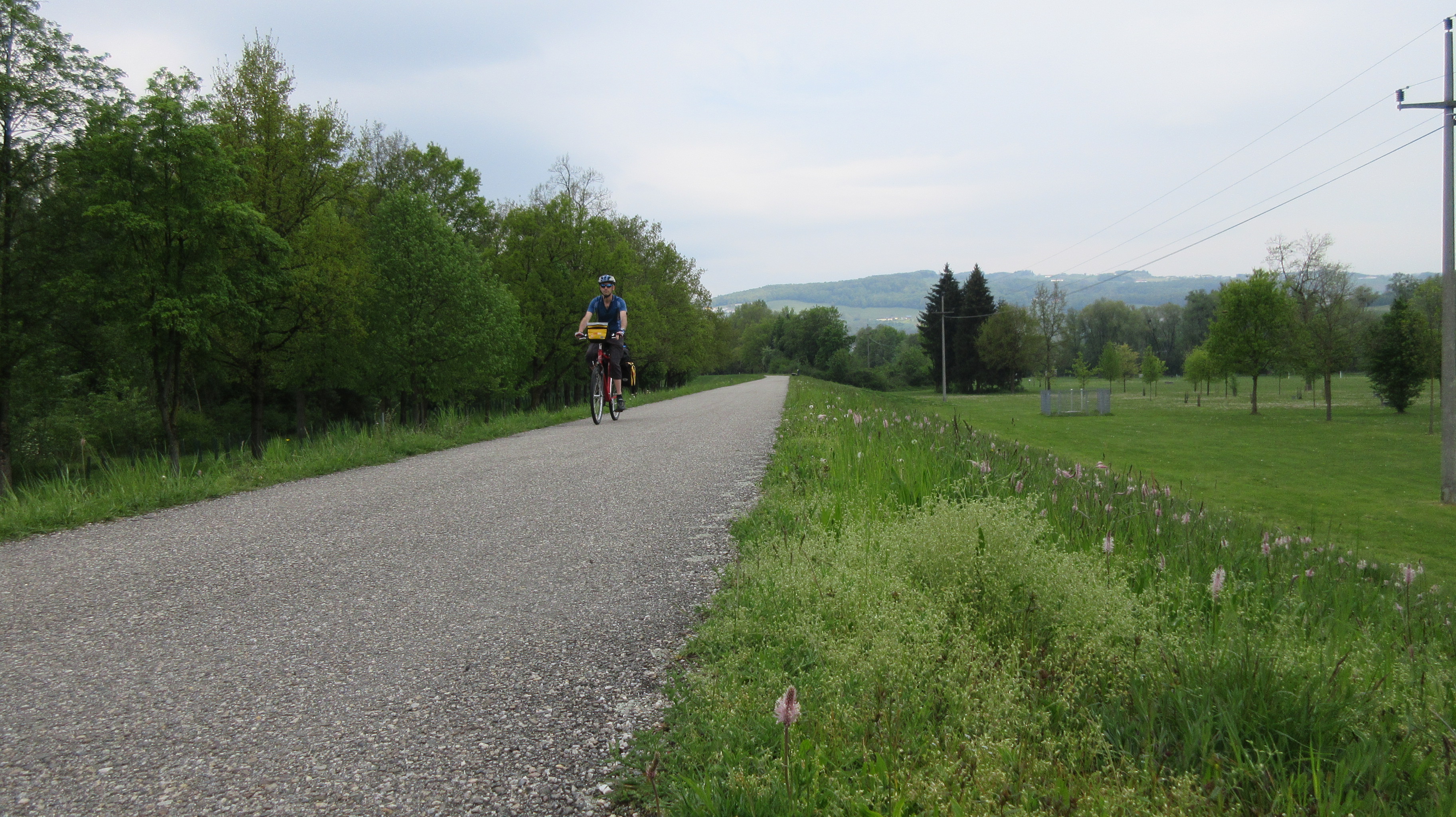 Danube's northern bank opposite Linz