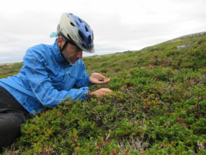 There's always time to pick berries, especially when you realise you've been there before
