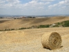 Crete Senesi