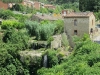 Asciano