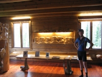 Eva Ryynänen's house