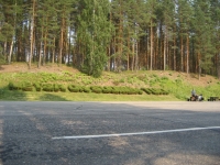 Metsä on Suomen tuki