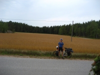 Golden fields