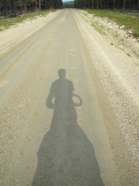 a-shadow-in-the-forest-jpg