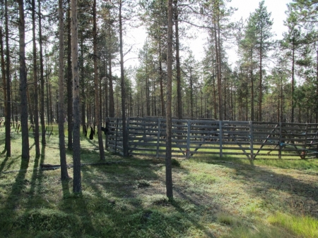 cage-for-reindeers-jpg