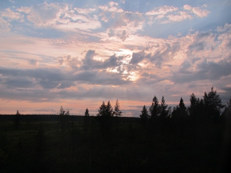 sun-over-the-swamp-jpg